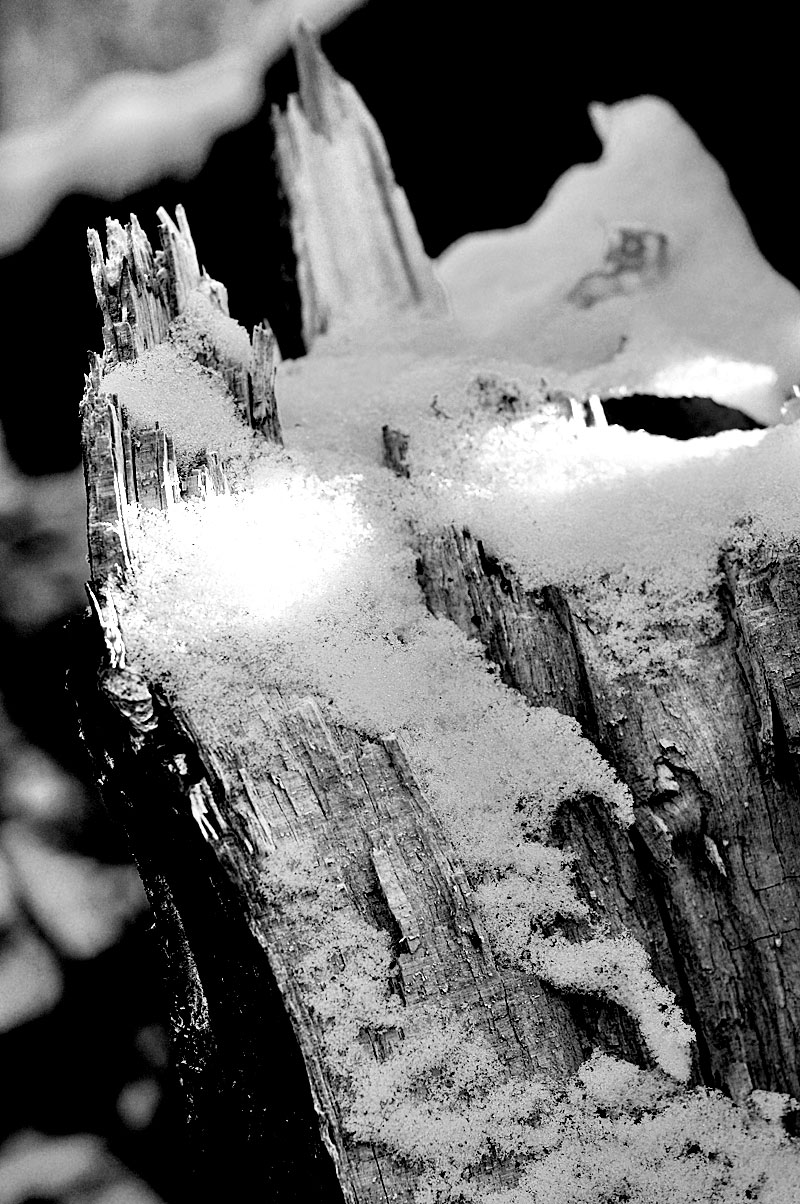 Illustration for article titled Shooting Challenge: Gray Winter